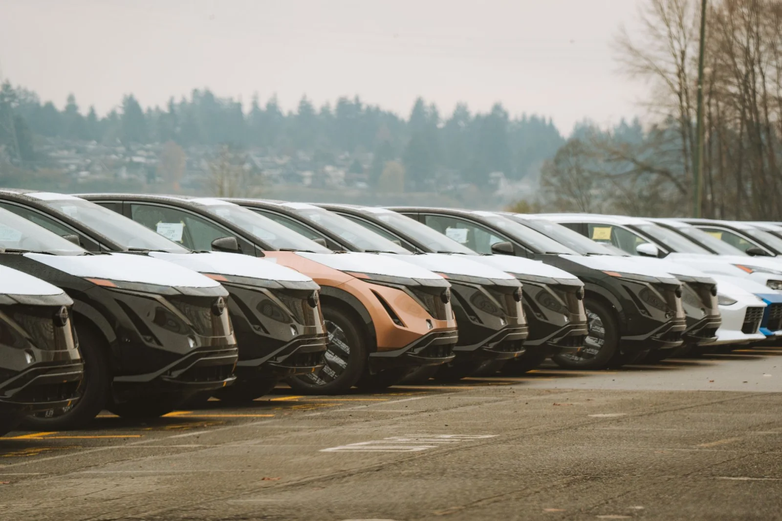 Changes in the Car Market: The Dominance of Electric Vehicles in Germany