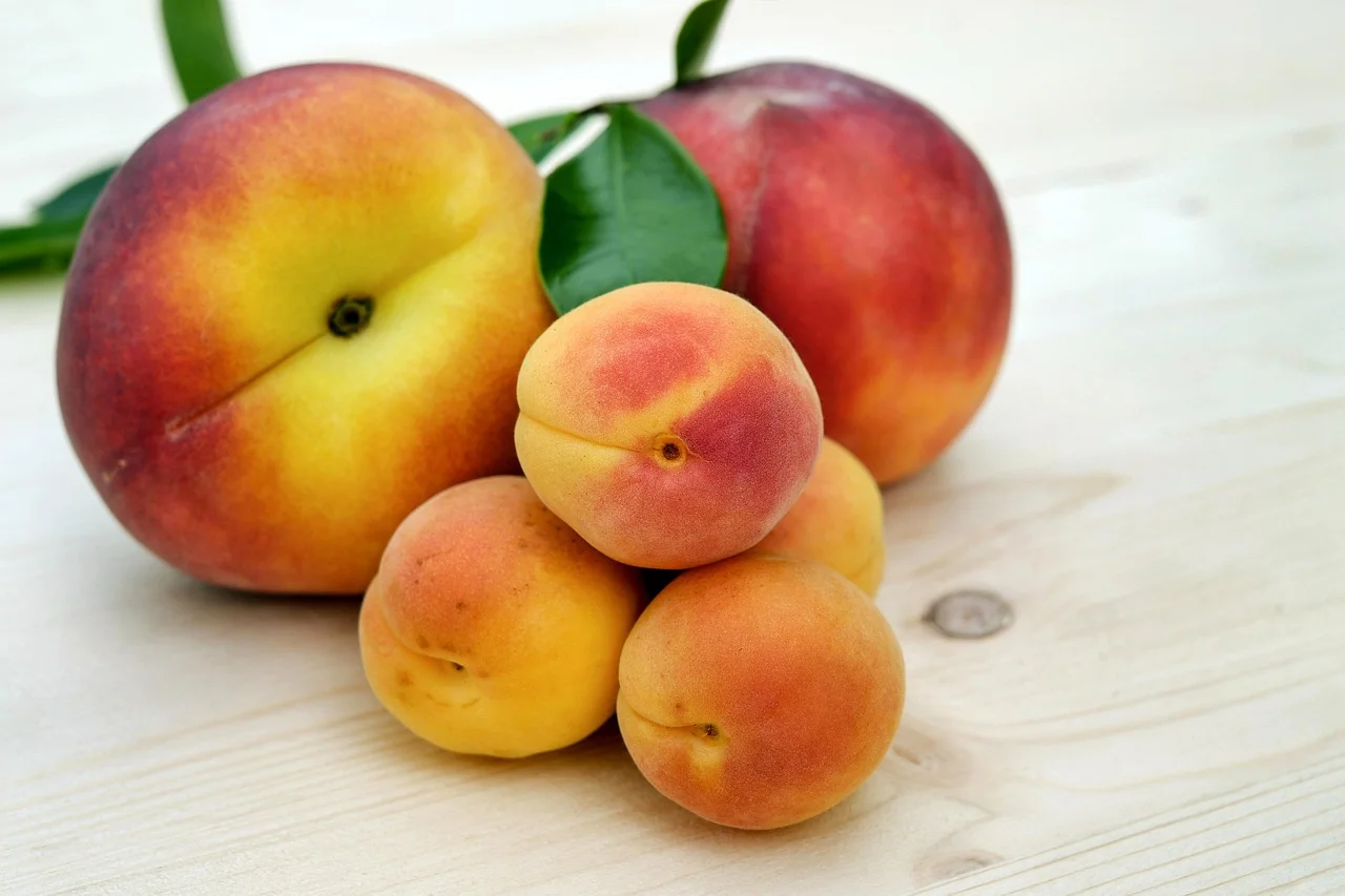 The Secrets of Fruits: Is Fruit Sugar Really Dangerous?