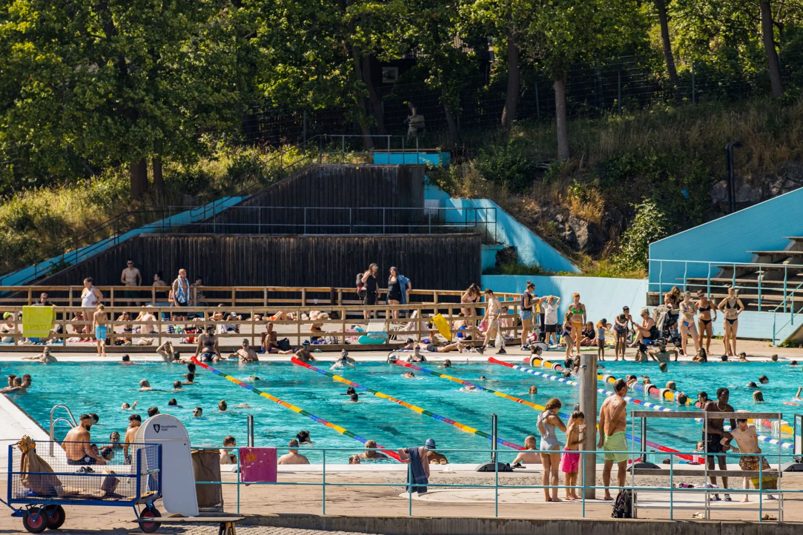 The Disaster of Rising Pool Ticket Prices: What Happened to People's Recreation?