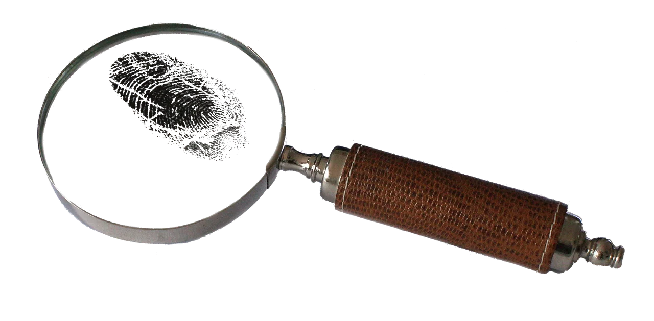 The Mystery of the Young Woman's Disappearance: Only a Single Bone Found in the Forest!