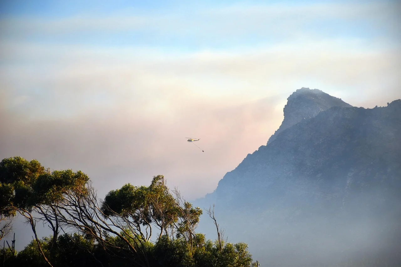 Massive Fire in the Wahnert Heide Forests; Firefighters in Battle