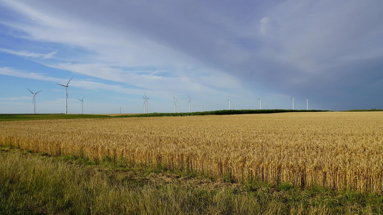 Scorching Summer 2026: A Heatwave is on the Way!