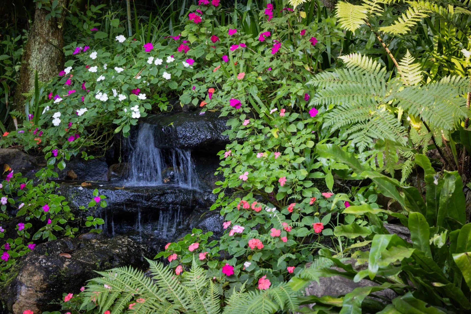 How to Keep Your Garden Green All Year Round?