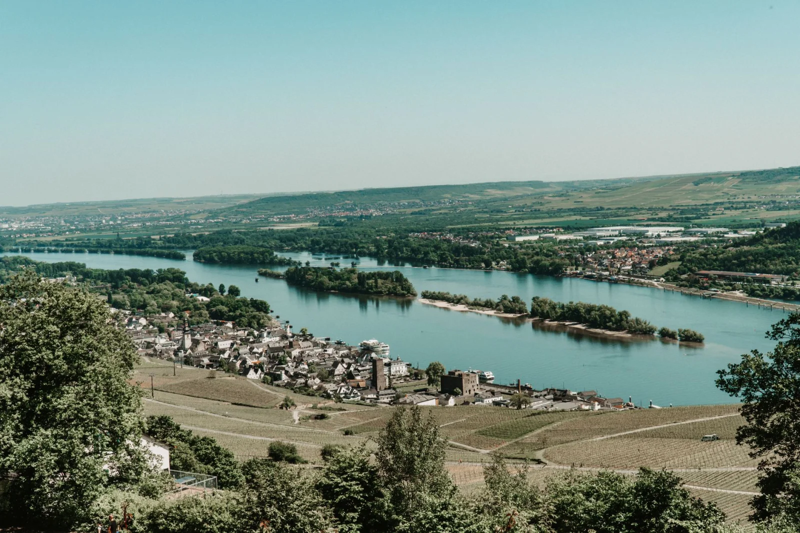 How has the Rhine-Main economy changed under the influence of global events?