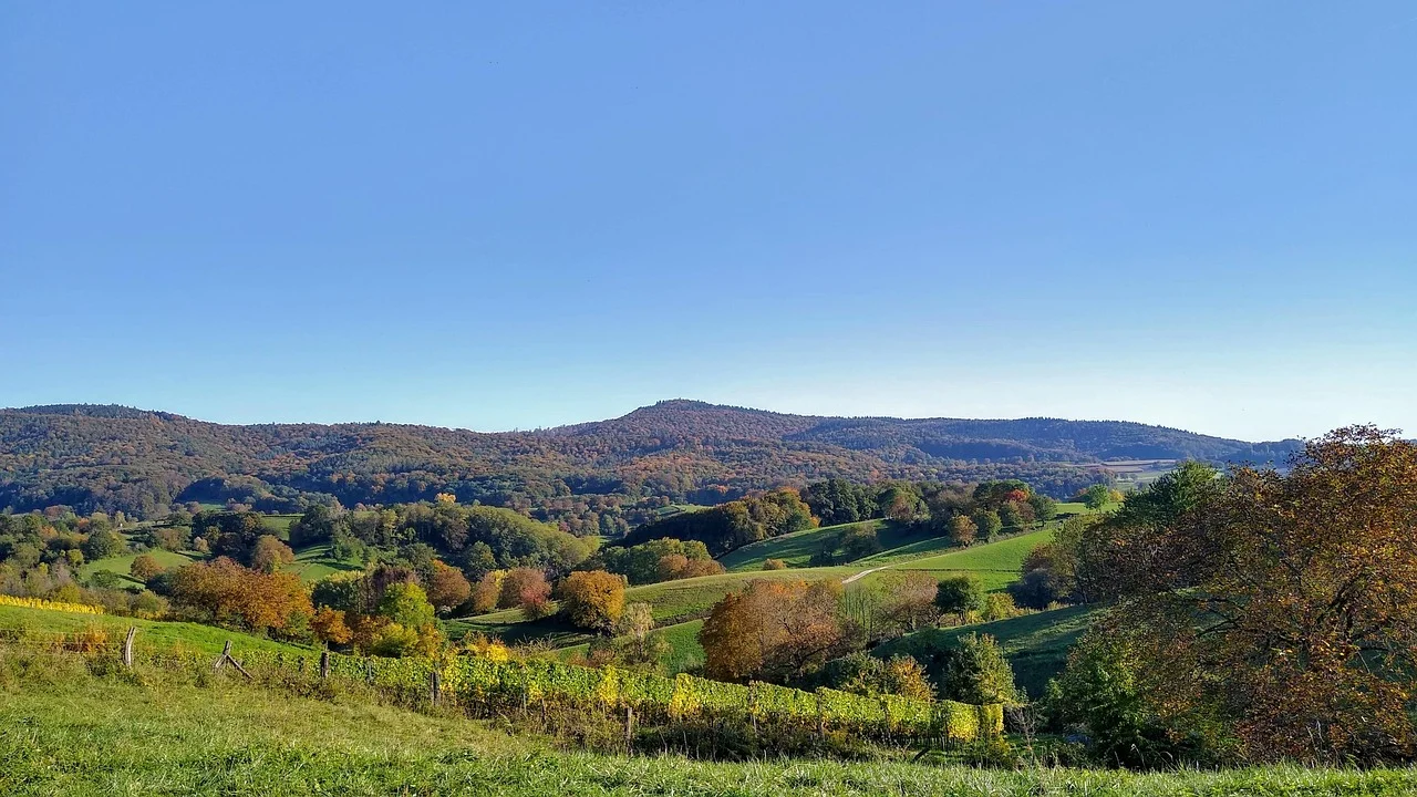 Weather Forecast: Hot Summer in Hesse with Sudden Showers