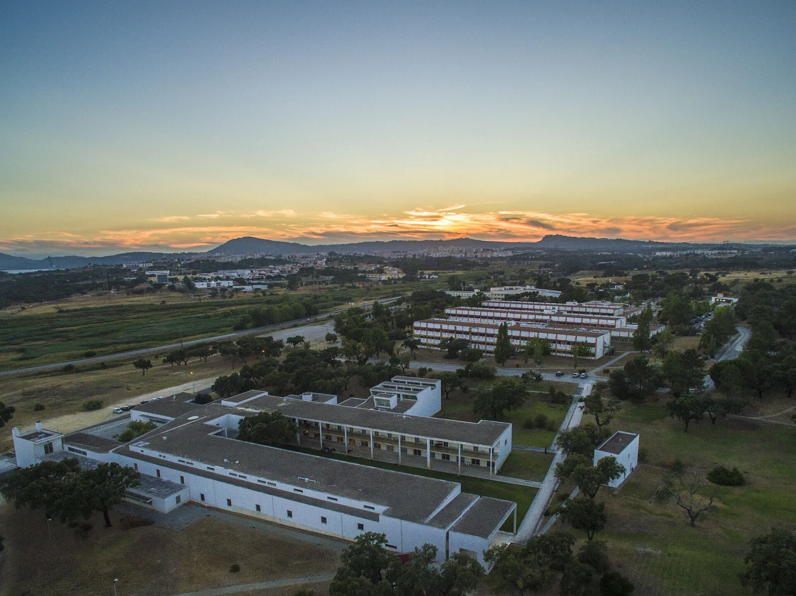 Return of Degree Issuance at the Technical University