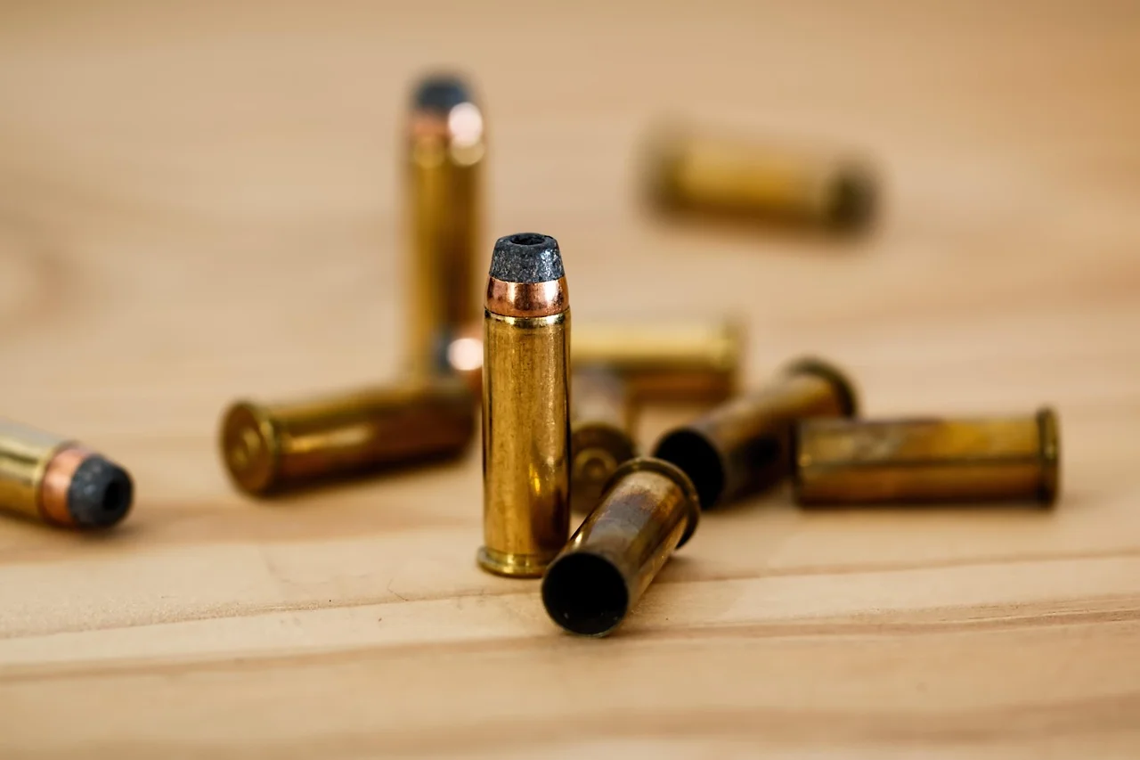 Behind the Purchase of €4000 Ammunition in Stade; Days Before the Crime