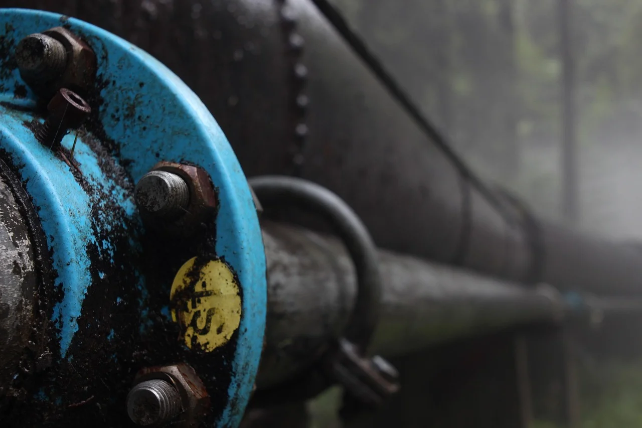 Controversial Claim: Ukrainian Accused of Sabotage in Nord Stream