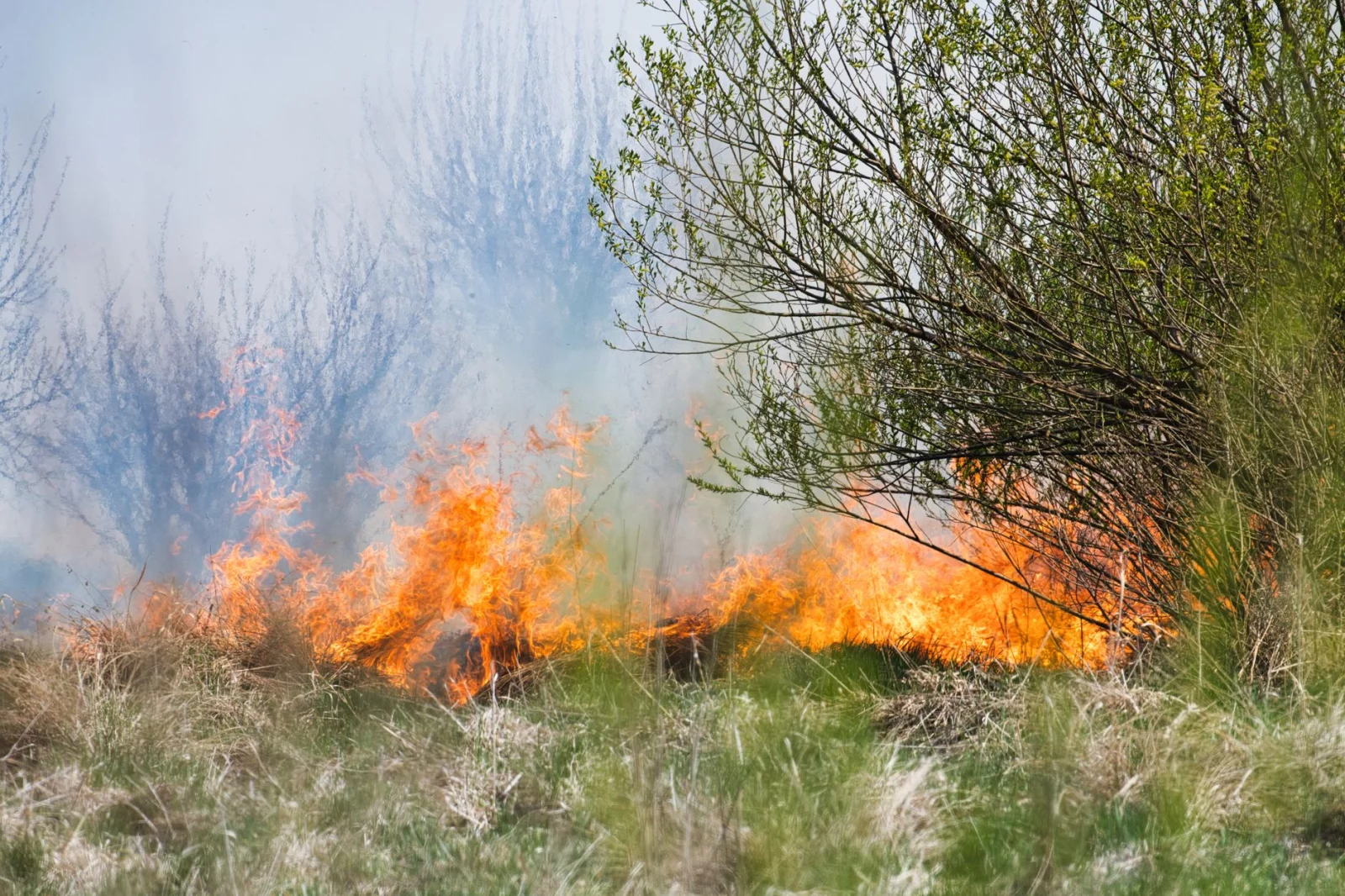 Flames That Hide the Truth: Fire in Galos and Arson Suspects