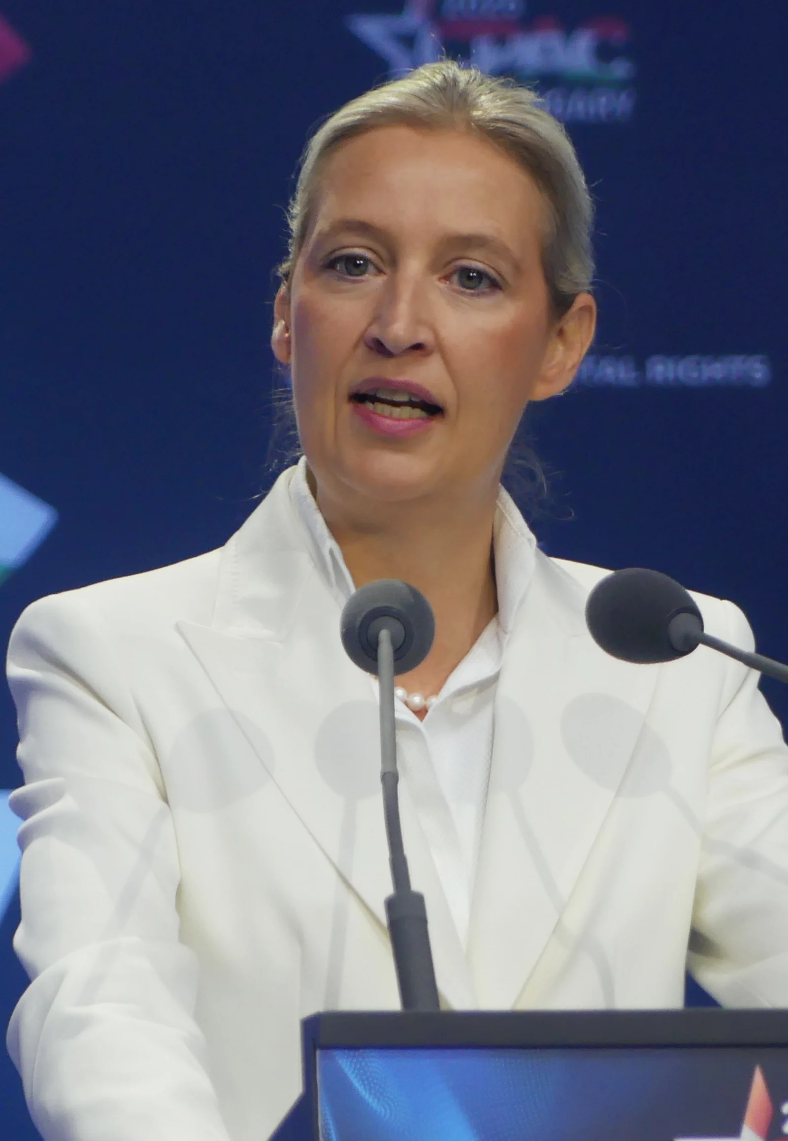 Controversial Claim by AfD Leader Regarding the Independence of Security Institutions