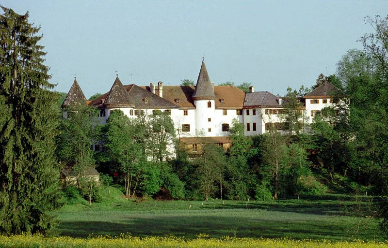 Amazing Success of International Students in Germany