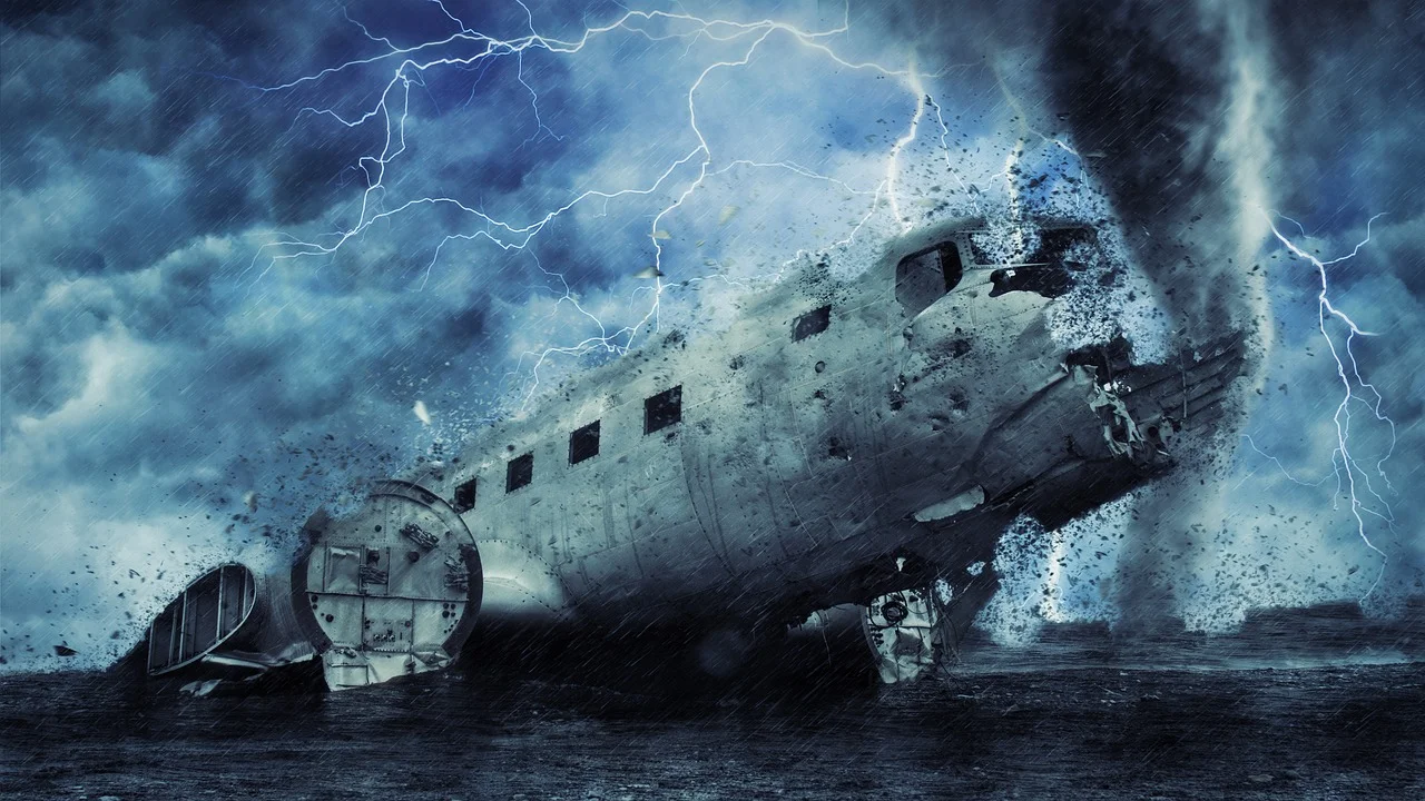Tragedy in the Sky: The Death of Renowned Armadillo Scientist in Plane Crash