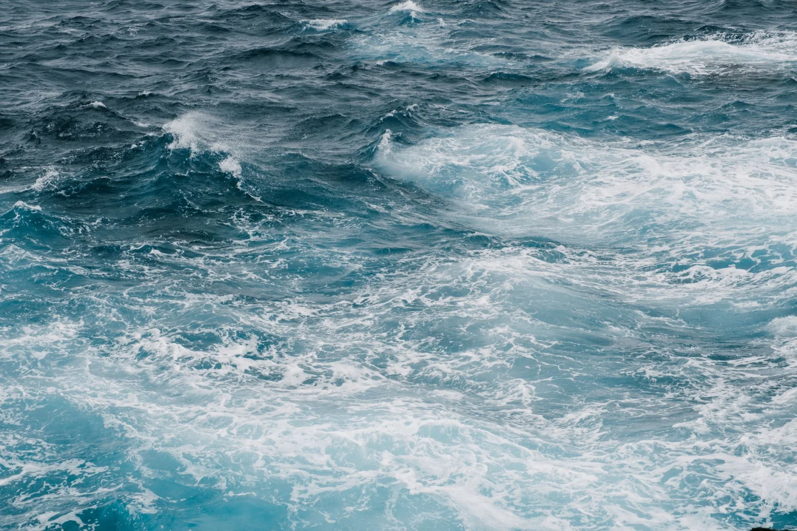 The Return of El Niño: Forecasting a Historic Event in the Pacific