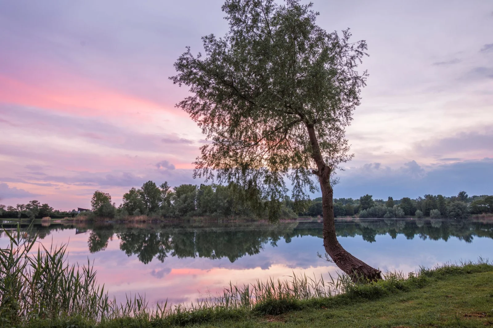 The Mystery of the Suspicious Death in Bertase: Body Found in the Lake
