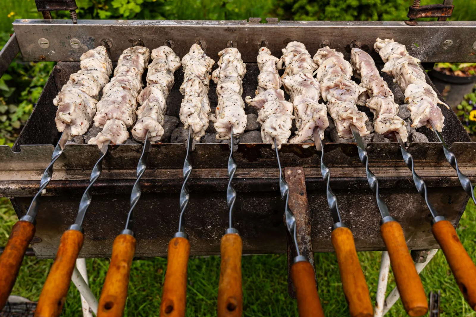 The Silence of the Flies: Heat and Drought Have Made Barbecue Celebrations Worry-Free!