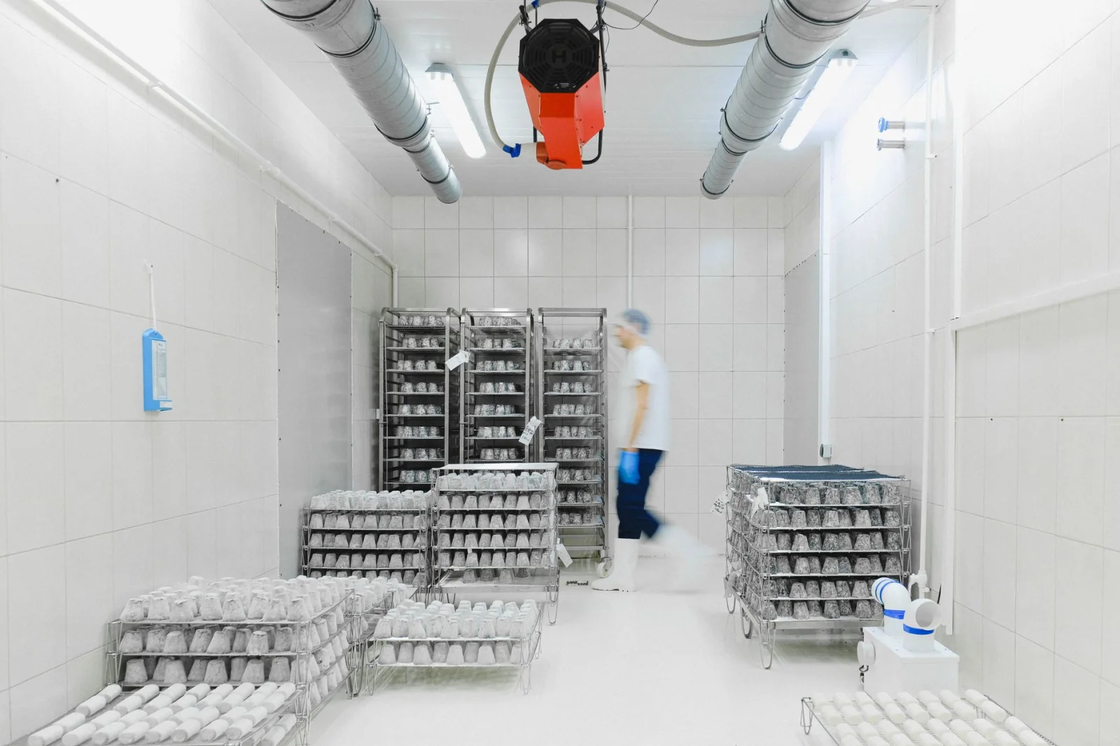 How did a one-year-old boy come back to life in the morgue?