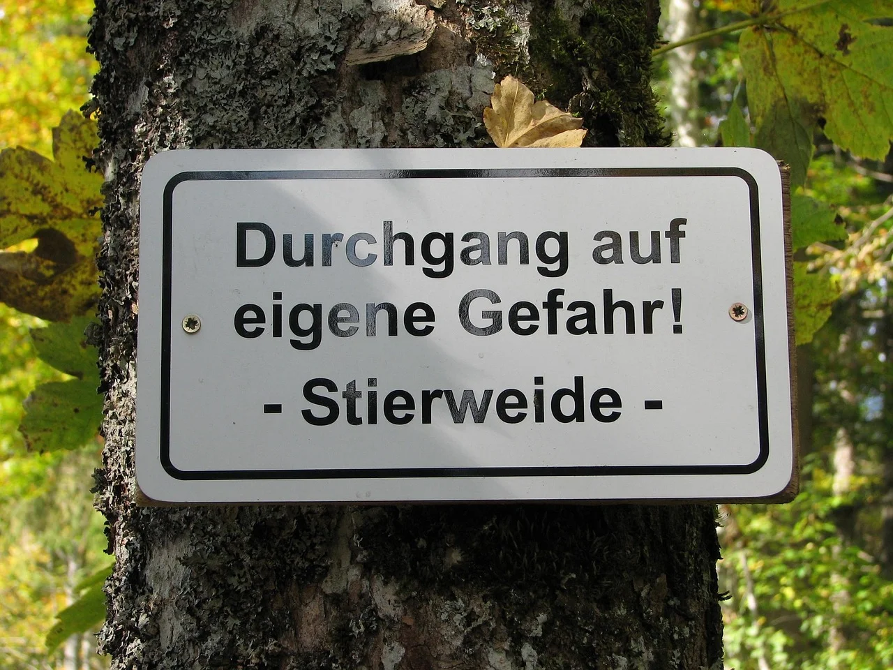 Warning: 800 Heat Victims in Germany; Are More Dangers on the Way?