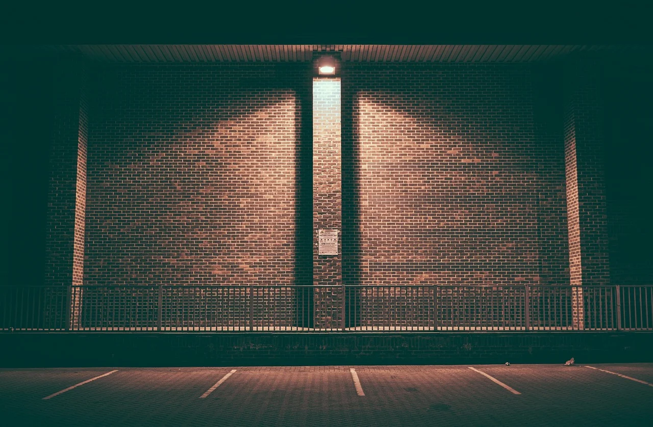 An Old Man Who Earns 9000 Euros a Month from Illegal Parking!