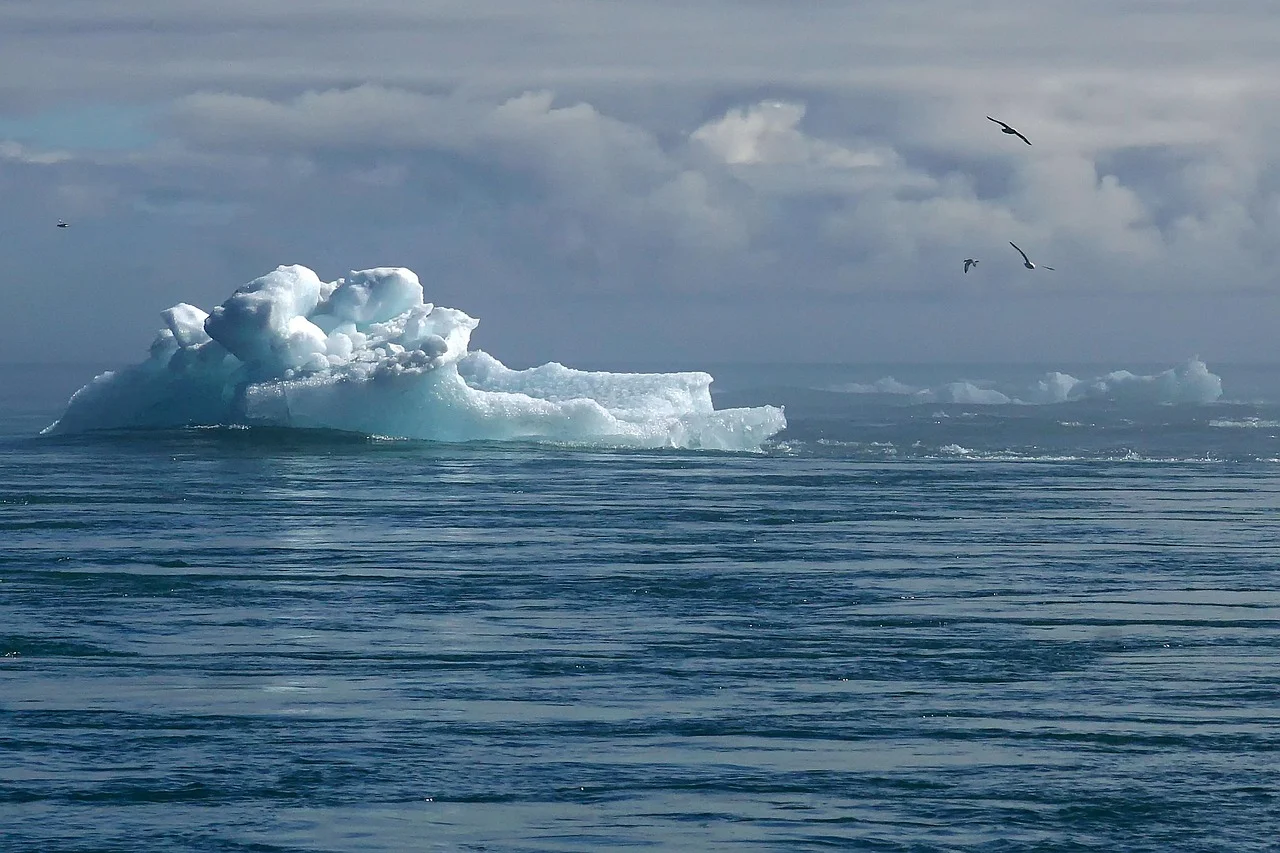 Courts, the New Battleground Against Climate Change