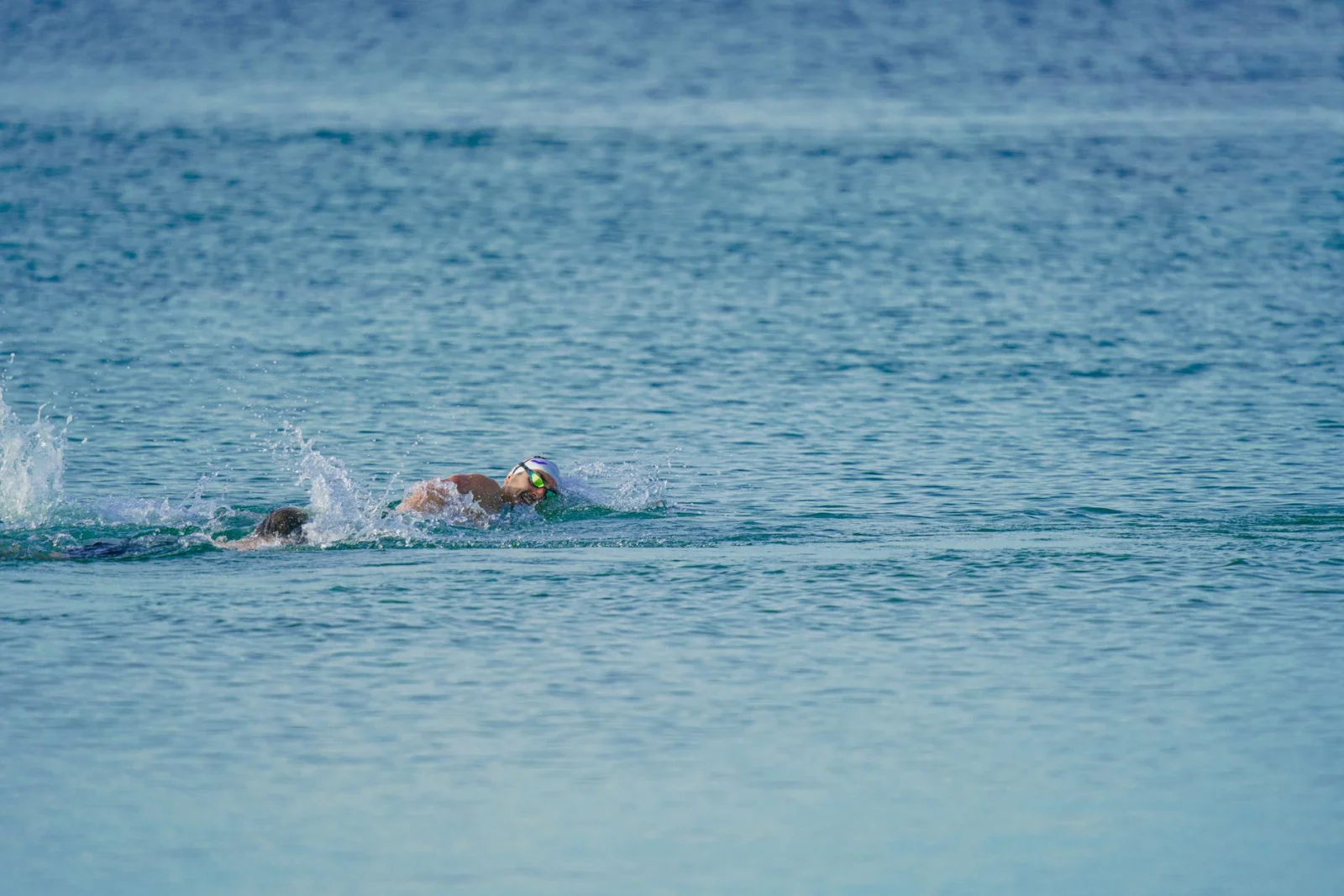 Over 1000 Swimmers Stood Up to the Challenges of Strelasund!