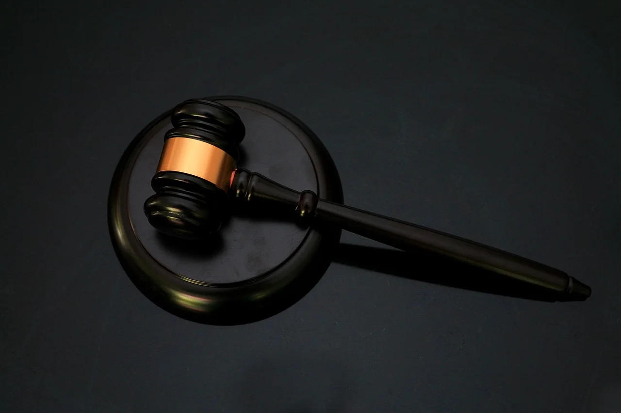 Government in a Confused Tangle: Court Rules Against Illegal Border Controls