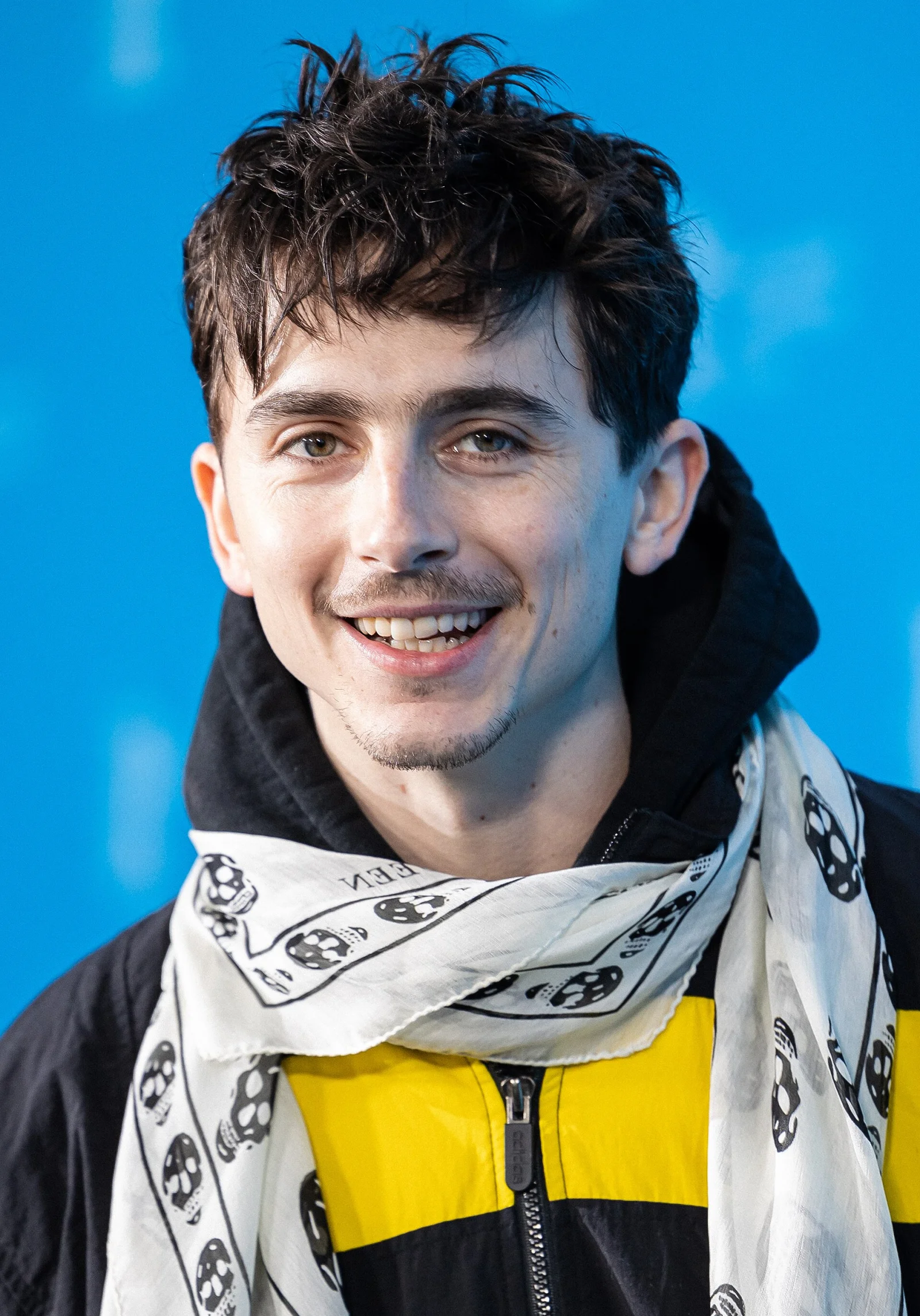 Timothée Chalamet's Indirect Attack on Germany's Disappointing World Cup Result