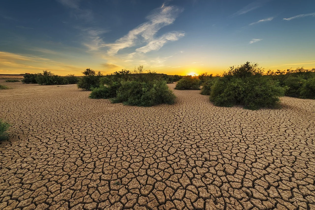 Drought, Legal Challenges, and the Wonders of Fathers: A New World in 15 Minutes