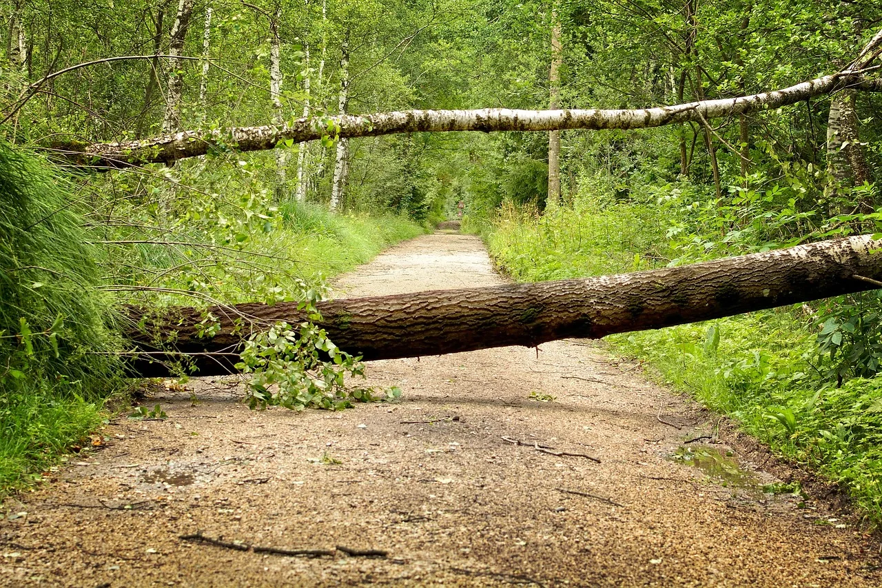 Wrath of Nature: Terrifying Storm in Schleswig-Holstein!