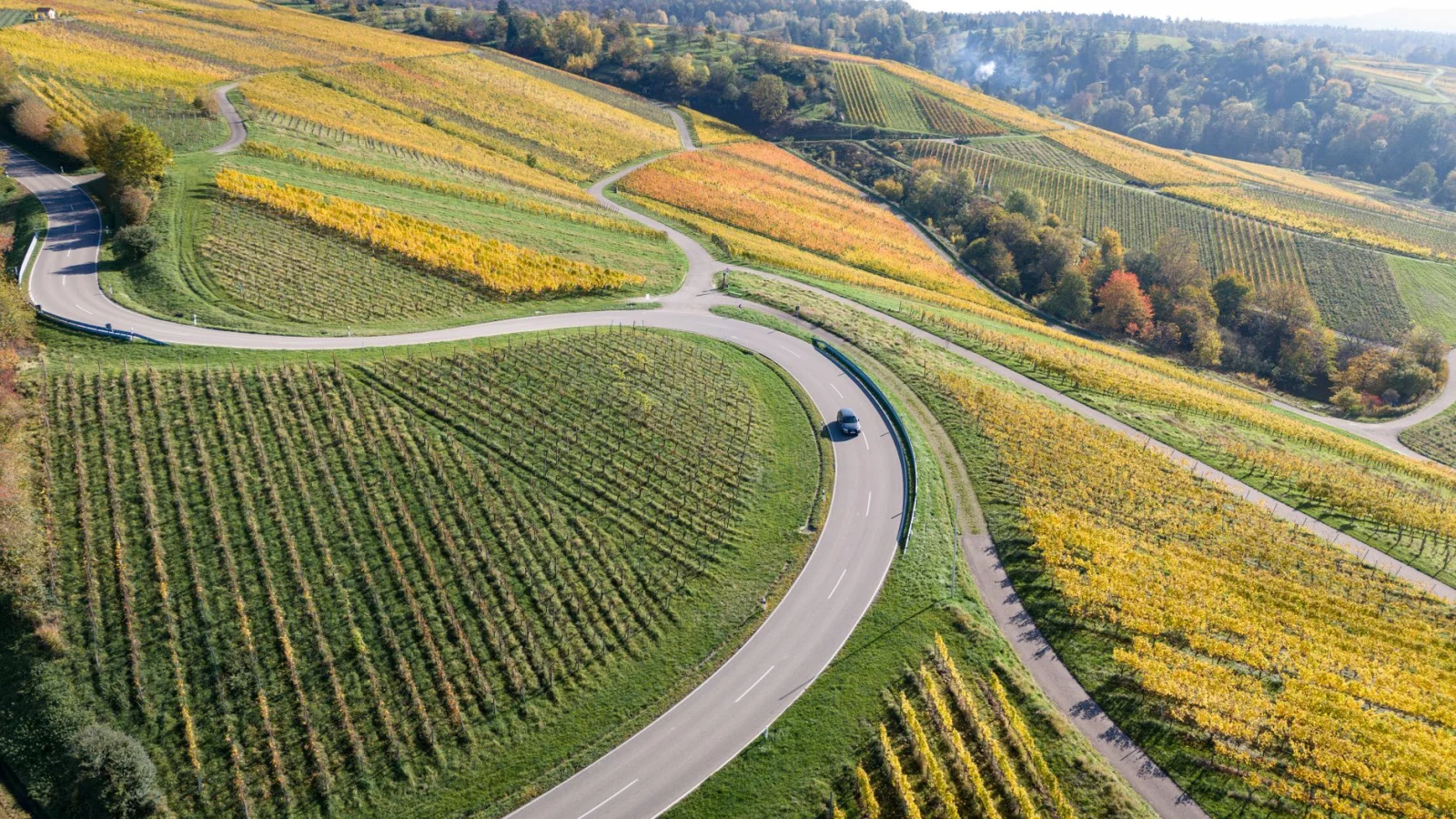 A New Road: A Historic Connection Between Rhineland-Palatinate and Baden-Württemberg
