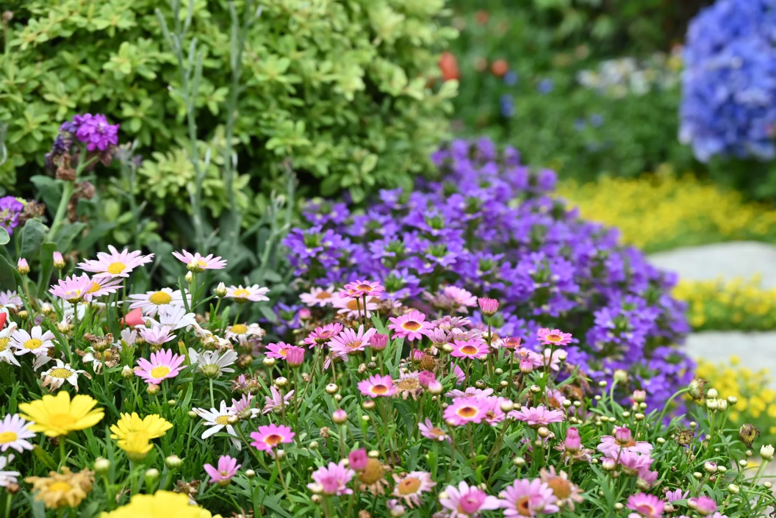 Mayor: Thousands of Flowers in the Gardens of Bad Tools!