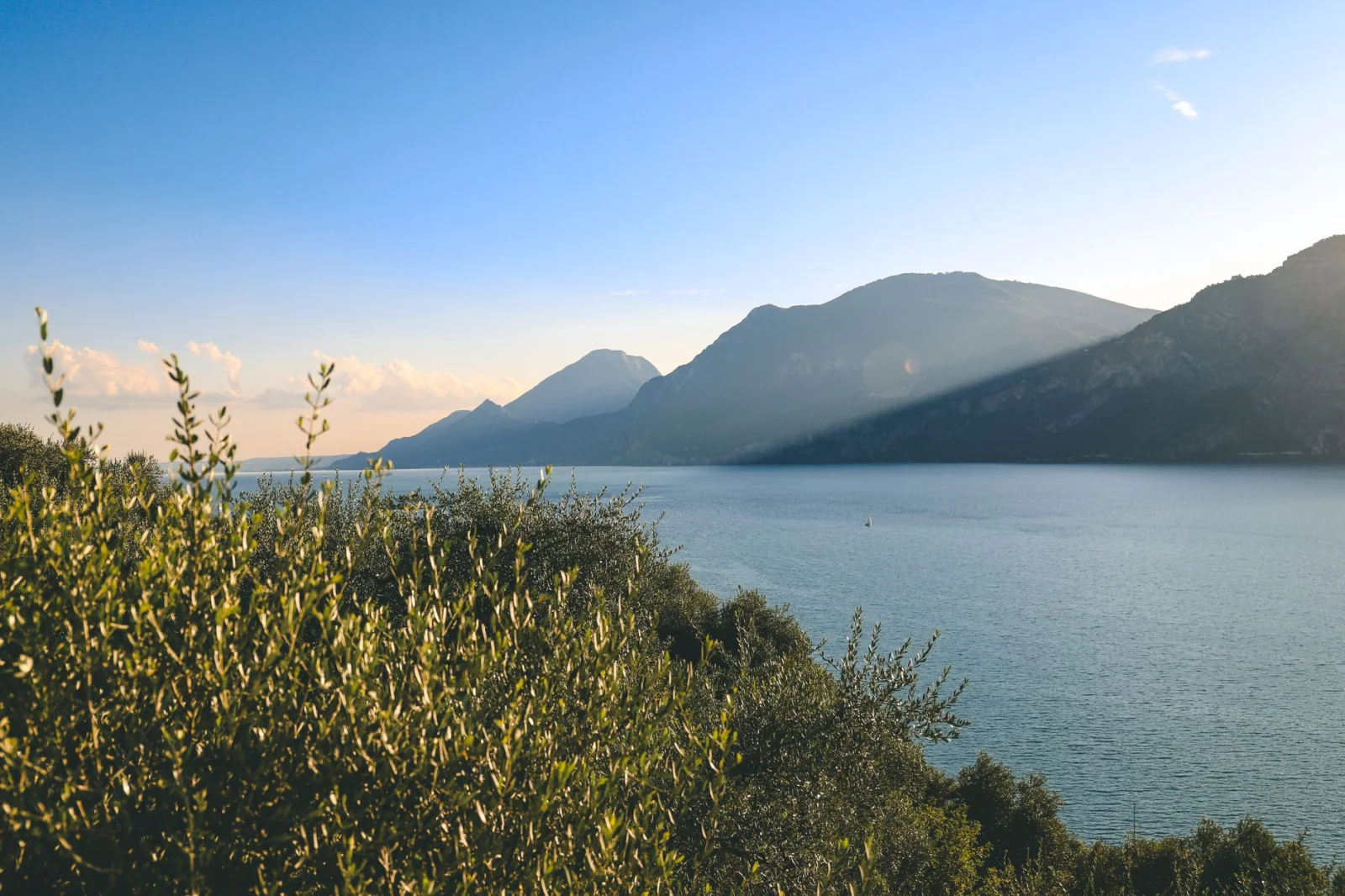 The Reappearance of the Sweet Crab in Lake Garda: A Sign of Hope