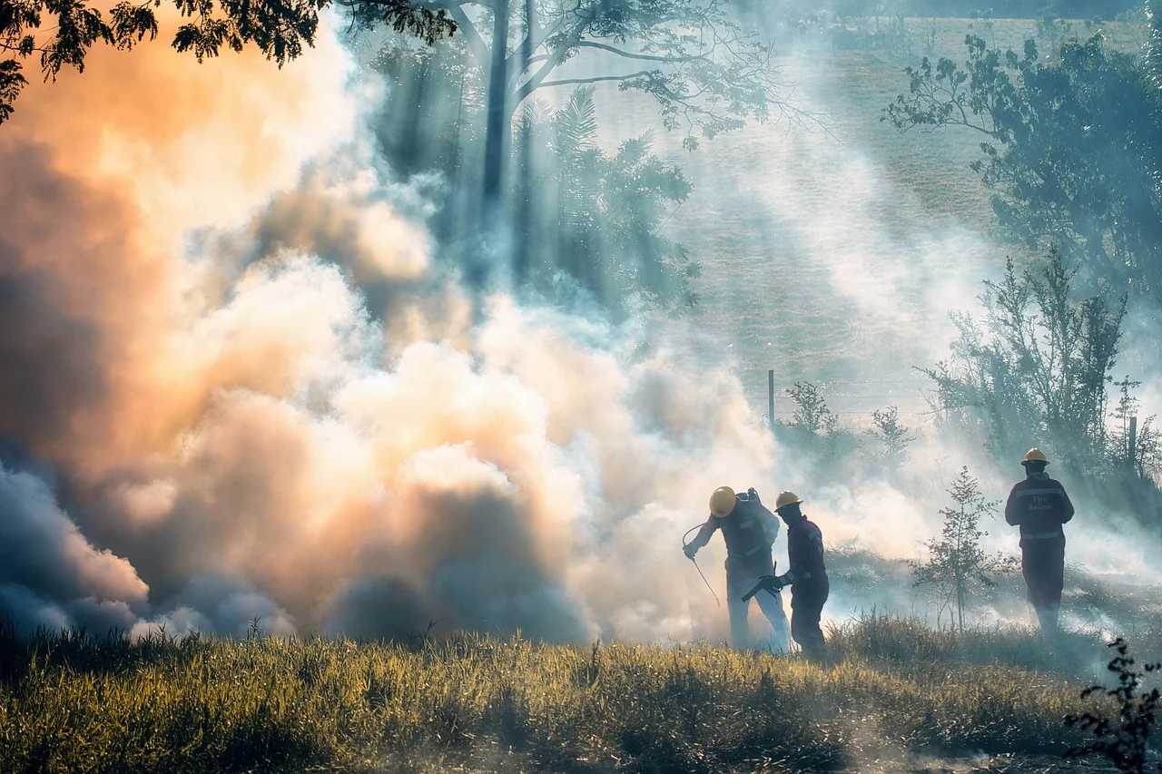 Wildfires: Rescue Operations on the Brink of Conclusion