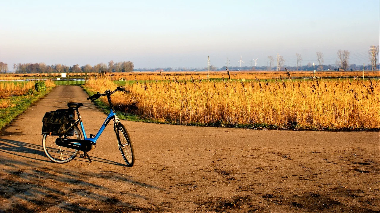 Discovering a Dual Paradise: Cycling in Fischland-Darß-Zingst