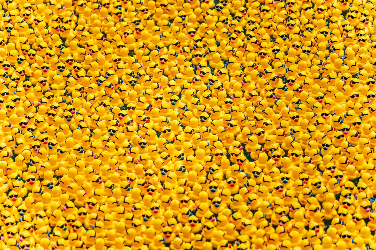 Delay in the Exciting Rubber Duck Race!