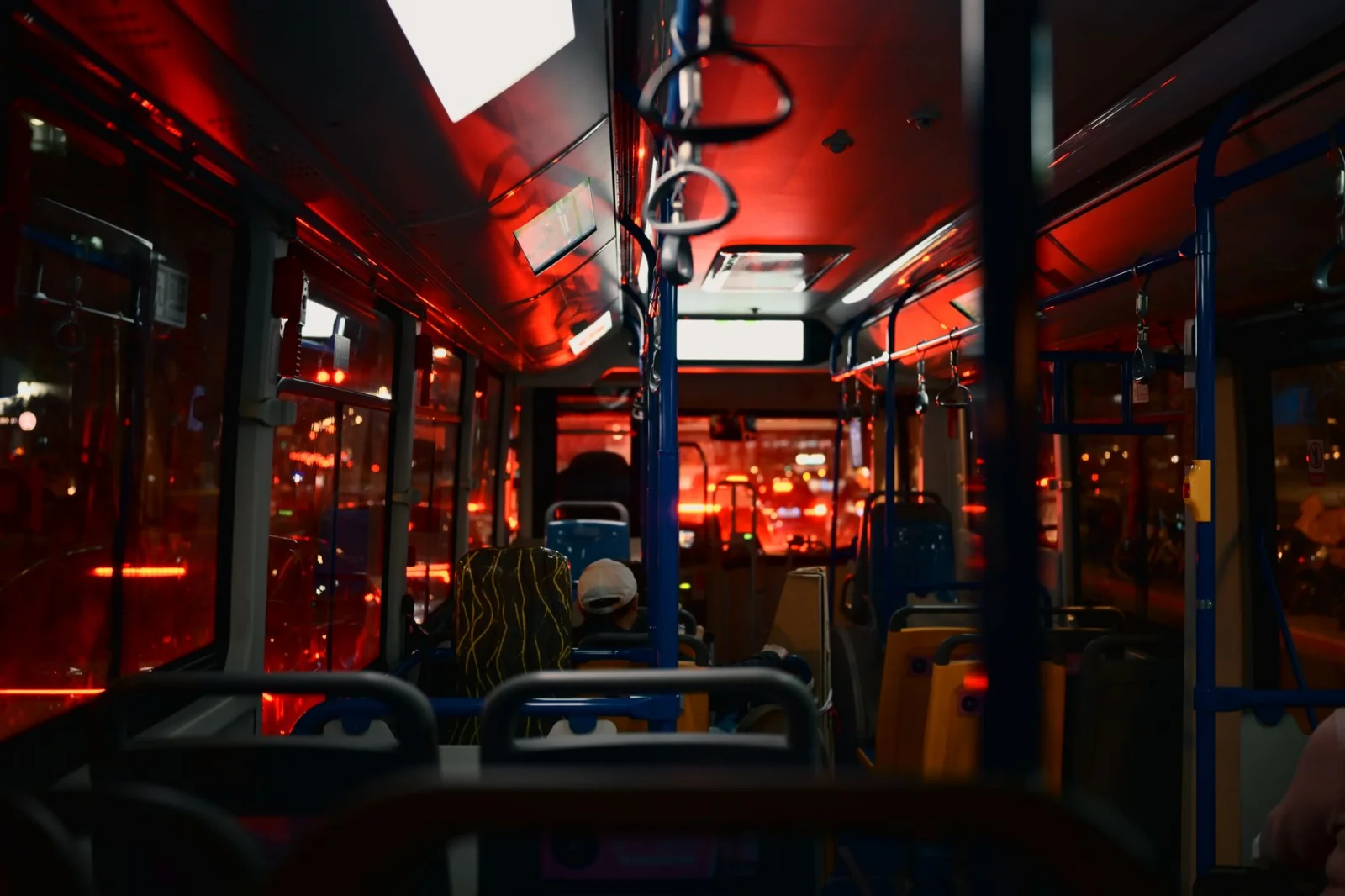 Strange Incident on the Bus: A Fly's Flight and the Injury of Four Passengers