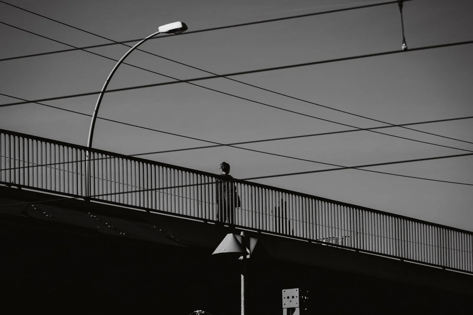 Controversial Claim: Political Activist Hangs from Bridge to Protest!