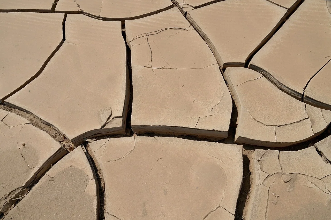 Heat in Bavaria: Citizens' Call for Water Conservation