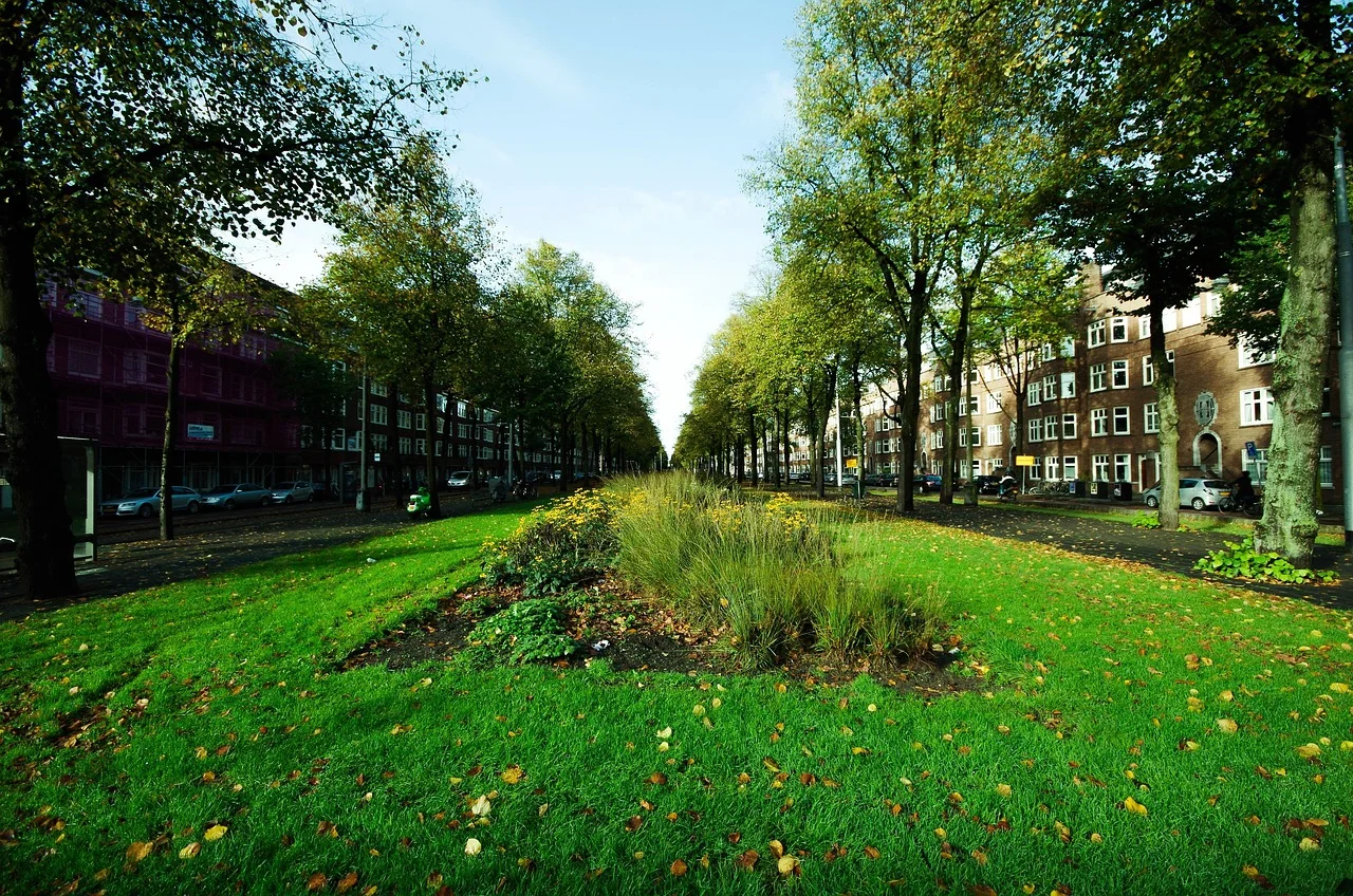A Journey to the Magical World of Belgium and the Netherlands: Why You Should See Kalmthout Heath?